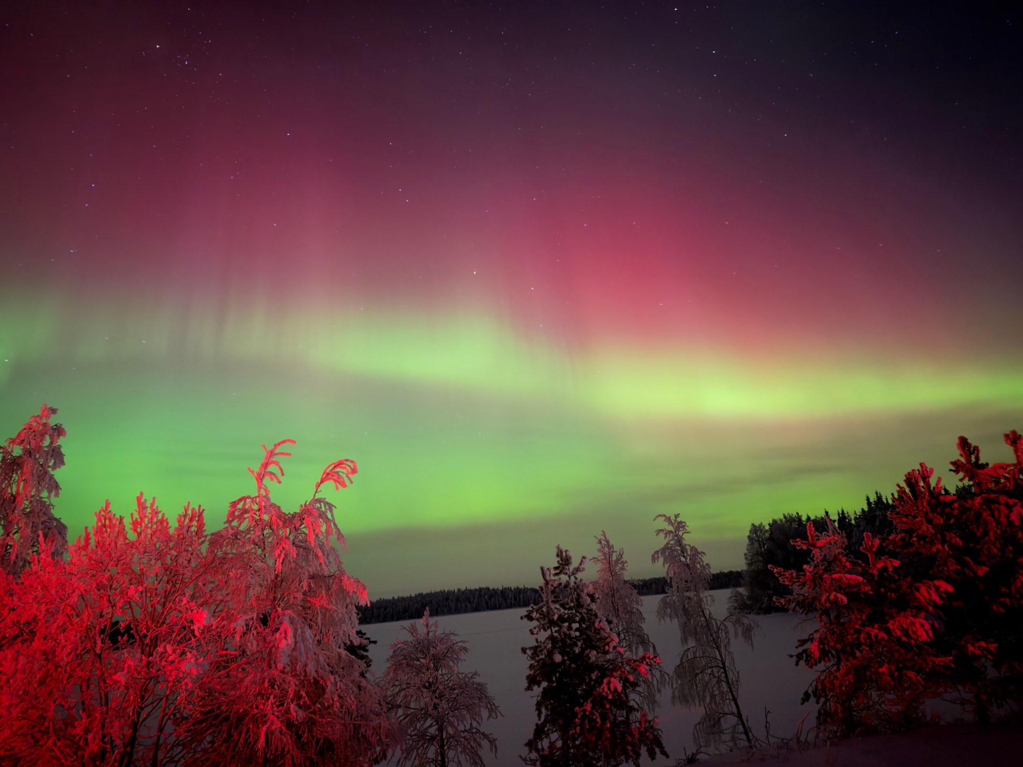 Aurora Guest Experiences