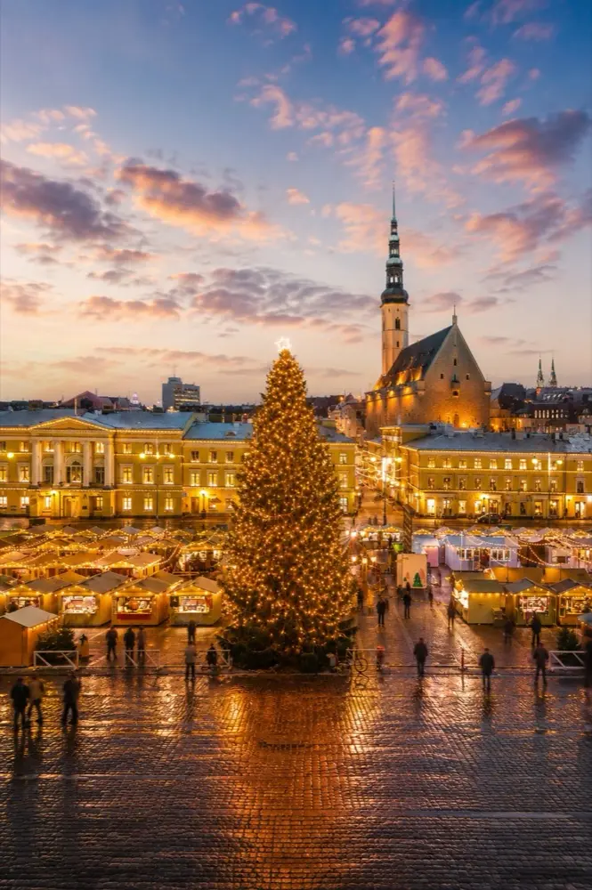 Finland Autumn Tour – Finland & Estonia (1–8 November)