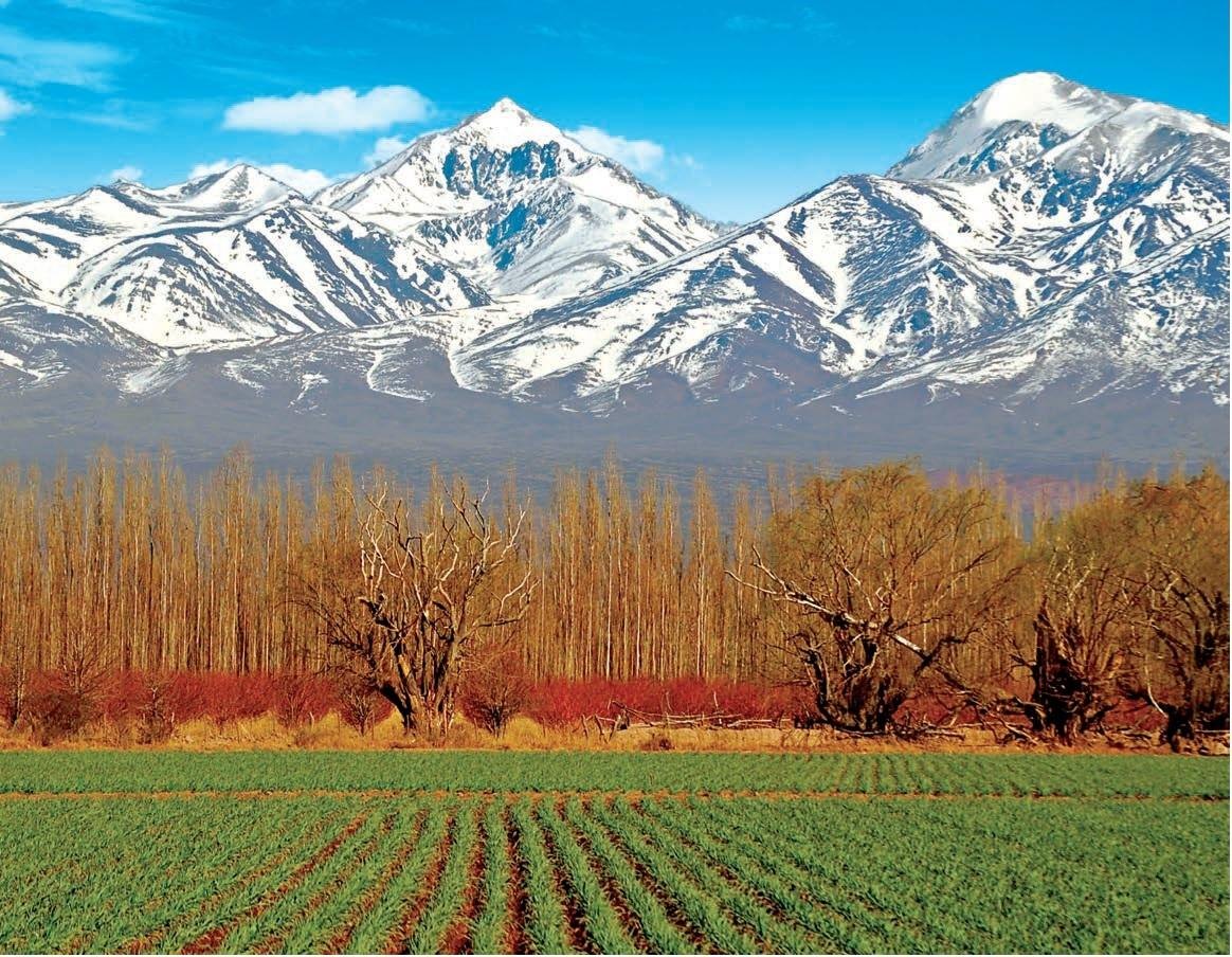 L'Argentine pour la bonne vie Dégustateurs