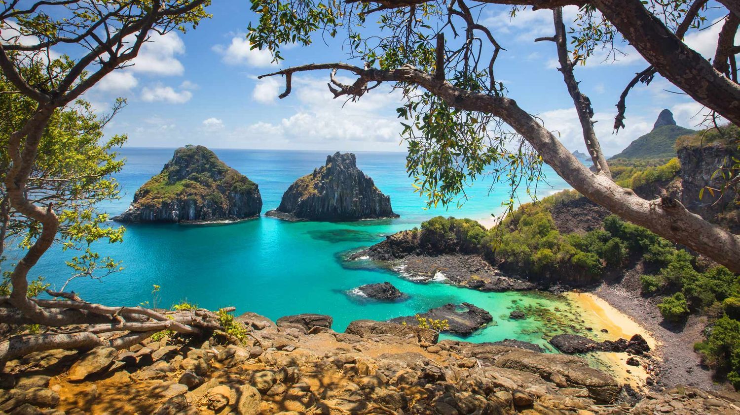 Recife-Porto de Galinhas-Fernando de Noronha